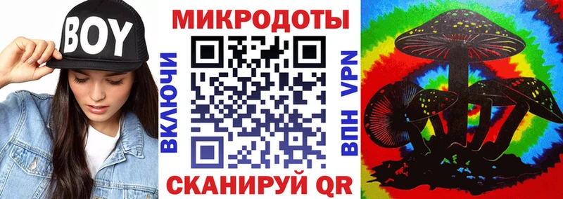 Псилоцибиновые грибы Cubensis  Купить  Любим 
